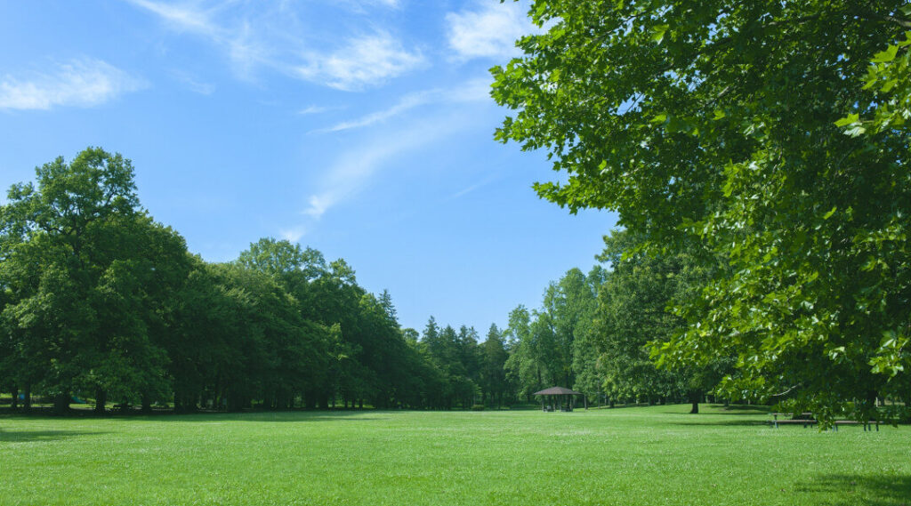 環境・地域貢献活動